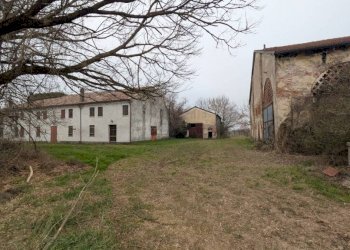 Terreno - Terreno agricolo via San Genesio, Stienta - foto 5