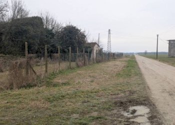 Terreno - Terreno agricolo via San Genesio, Stienta - foto 12