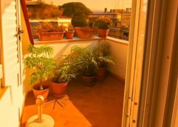 Terrazzo - Attico via Ridolfino Venuti, 75, Roma - foto 21