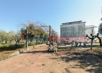 Hotel Lariano - foto 31