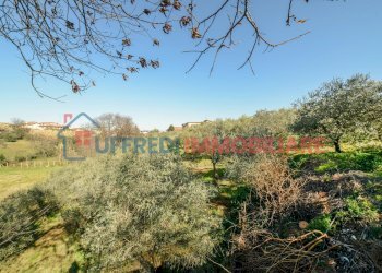 Hotel Lariano - foto 33