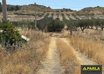 Villa Butera - foto 6