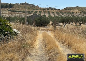 Villa Butera - foto 7