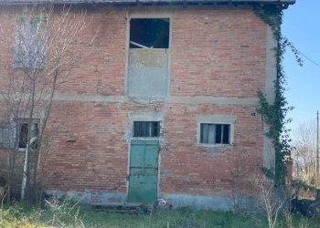 Rustic Imola - photo 5