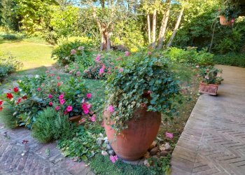 Villa Forlì - foto 8