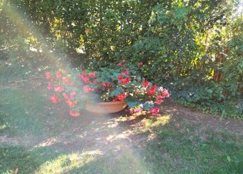 Villa Forlì - foto 10