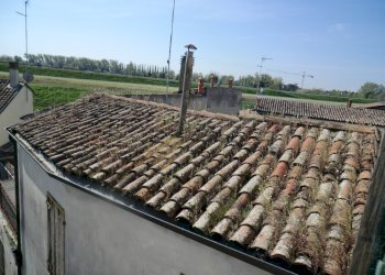 Stabile - Palazzo Bondeno - foto 47