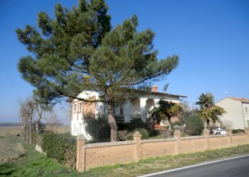 Villa Unifamiliare Masi Torello - foto 4