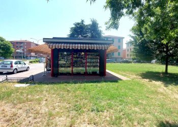 Edicole - Edicole con Chiosco Via p. C. S. Nasica, 103, Castenaso - foto 11