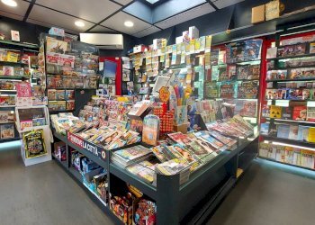 Edicole - Edicole con Chiosco Via p. C. S. Nasica, 103, Castenaso - foto 13