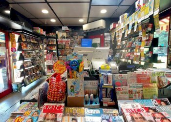 Edicole - Edicole con Chiosco Via p. C. S. Nasica, 103, Castenaso - foto 15