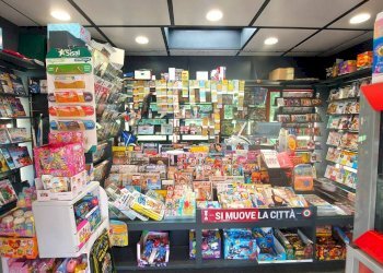 Edicole - Edicole con Chiosco Via p. C. S. Nasica, 103, Castenaso - foto 18