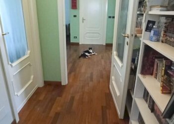 Villa Carrù - foto 10