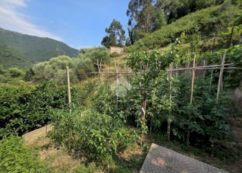Loft Regione Maberga, Taggia - photo 13