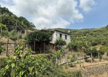 Loft Regione Maberga, Taggia - photo 27