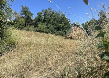 Foto 19 - Casa semi indipendente Sellano-Fonni, Sellano - foto 19