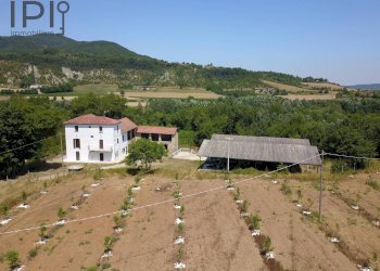 Foto 8 - Rustico Spigno Monferrato - foto 8