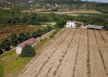 Foto 10 - Rustico Spigno Monferrato - foto 10