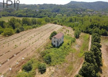 Foto 14 - Rustico Spigno Monferrato - foto 13