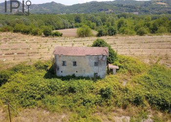 Foto 16 - Rustico Spigno Monferrato - foto 15