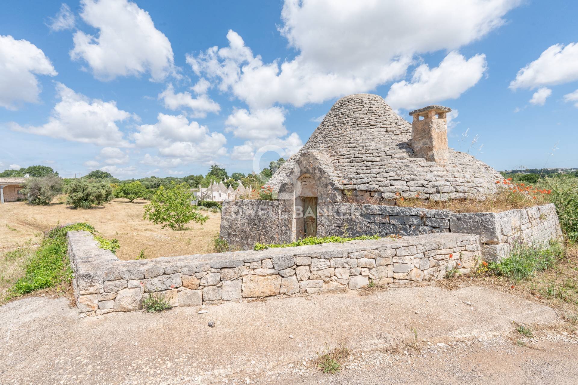 Foto 3 - Villa Contrada Difesa San Salvatore
83, Ostuni - photo 3