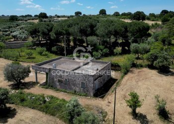 Foto 32 - Villa Contrada  Difesa San Salvatore
 
83, Ostuni - foto 32