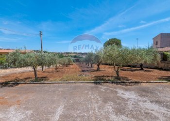 Giardino - Rustico Via Luigi Enaudi, Grammichele - foto 3