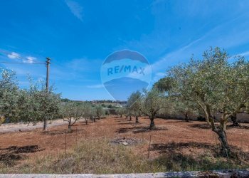 Giardino - Rustico Via Luigi Enaudi, Grammichele - foto 4