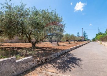 Giardino - Rustico Via Luigi Enaudi, Grammichele - foto 11