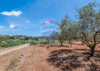 Vista delle montagne - Rustico Via Luigi Enaudi, Grammichele - foto 15