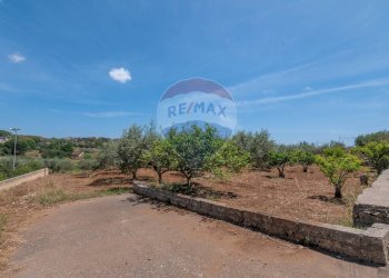Giardino - Rustico Via Luigi Enaudi, Grammichele - foto 16