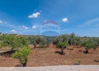 Giardino - Rustico Via Luigi Enaudi, Grammichele - foto 17