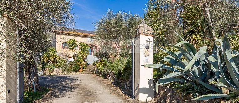 Foto 3 - Rustic Camaiore - photo 3