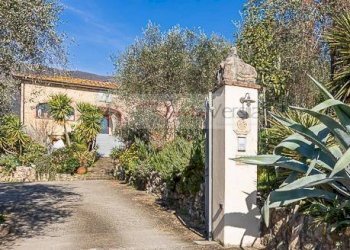 Foto 3 - Rustico Camaiore - foto 3