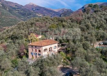 Foto 4 - Rustico Camaiore - foto 4