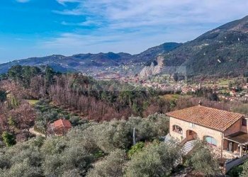 Foto 5 - Rustico Camaiore - foto 5