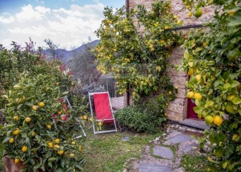 Foto 14 - Rustico Camaiore - foto 14