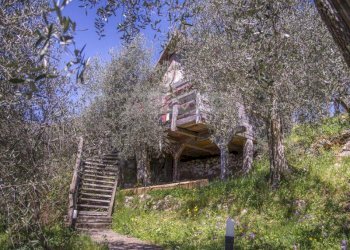 Foto 21 - Rustico Camaiore - foto 21