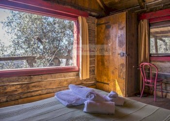 Foto 25 - Rustico Camaiore - foto 25