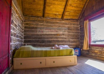 Foto 27 - Rustico Camaiore - foto 27