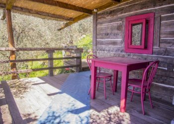 Foto 29 - Rustico Camaiore - foto 29