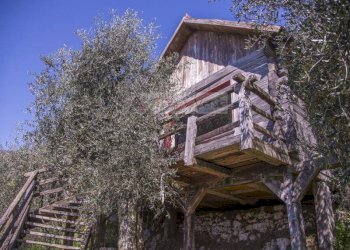 Foto 30 - Rustico Camaiore - foto 30