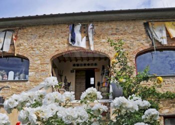 Foto 32 - Rustico Camaiore - foto 32