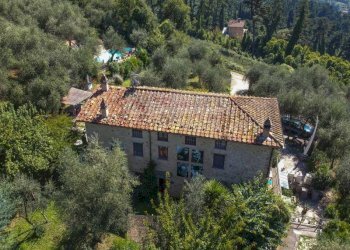 Foto 44 - Rustico Camaiore - foto 44