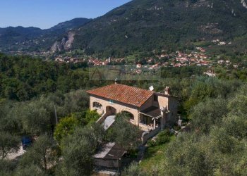 Foto 45 - Rustico Camaiore - foto 45