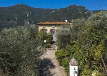 Foto 47 - Rustico Camaiore - foto 47