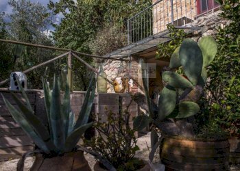 Foto 56 - Rustico Camaiore - foto 56