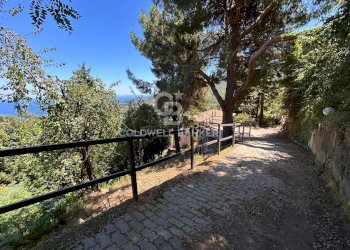 Foto 19 - Trilocale Via di Rimercoio, Marciana - foto 19