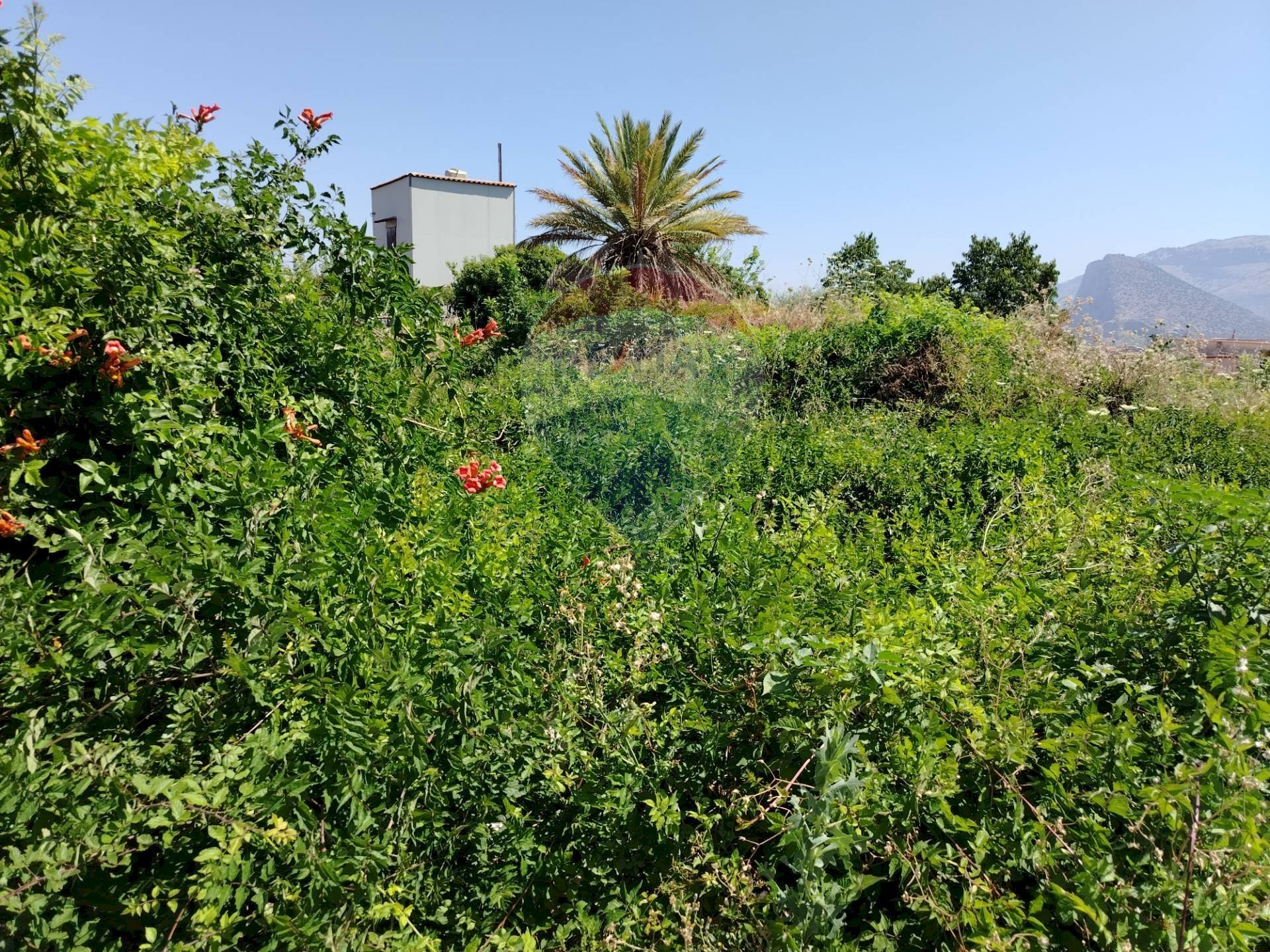 Giardino - Terreno agricolo via Bulotta
 
snc, Carini - foto 3