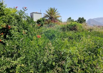 Giardino - Terreno agricolo via Bulotta
 
snc, Carini - foto 3